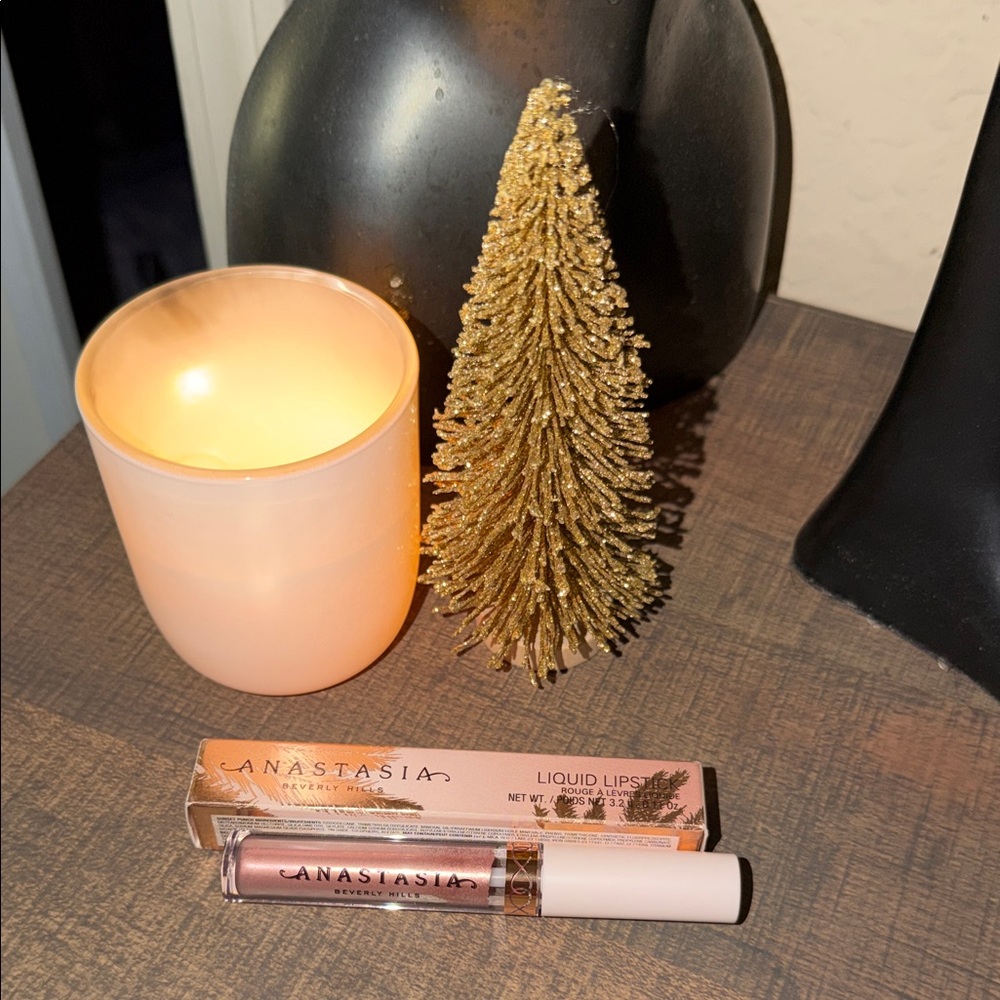 NWT Anastasia Liquid Lipstick in SUNSET PUNCH